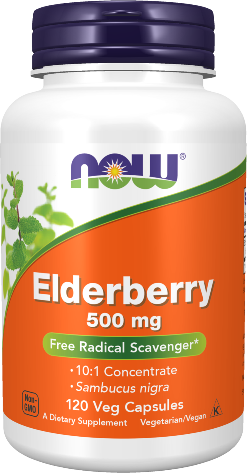 NOW Supplements, Elderberry (Sambucus nigra) 500 mg, 120 Veg Caps — product image