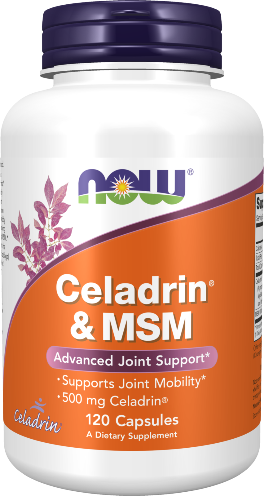 NOW Supplements, Celadrin® & MSM, 500 mg of Celadrin®, 120 Caps — product image