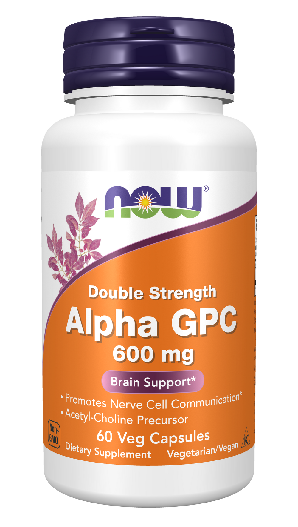 NOW Supplements, Alpha GPC 600 mg, Brain Support*, 60 Veg Caps — product image