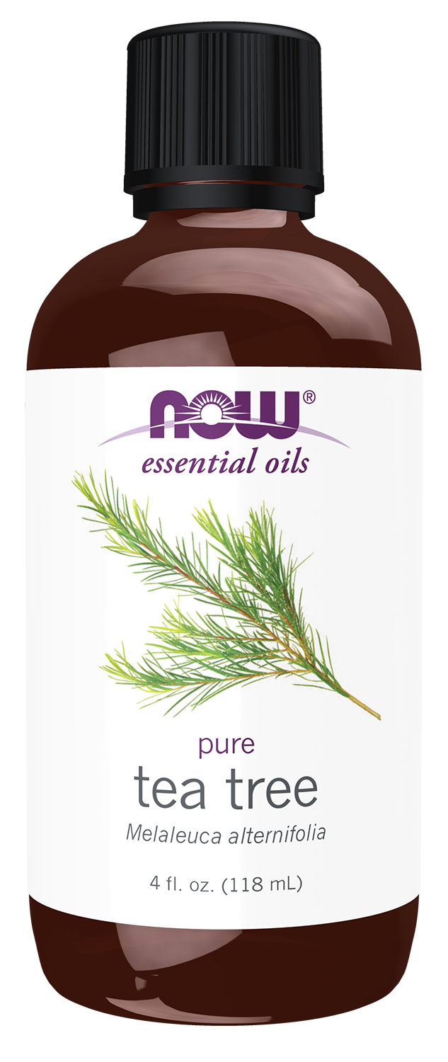 NOW Essential Oils, Tea Tree Oil, Steam Distilled, Undiluted, 4 fl. oz — product image