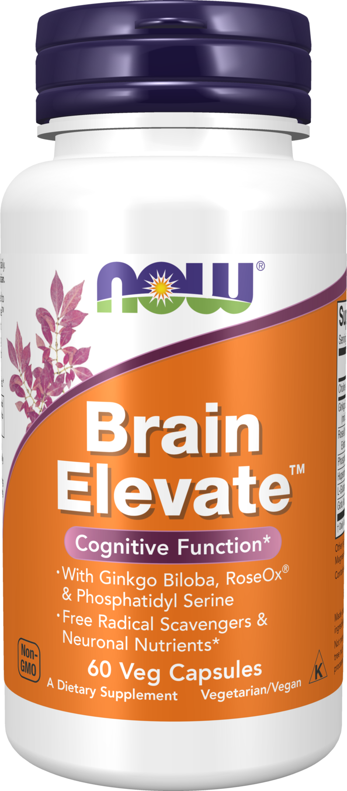 NOW Supplements, Brain Elevate™, Ginkgo Biloba & RoseOx®, 60 Veg Caps — product image
