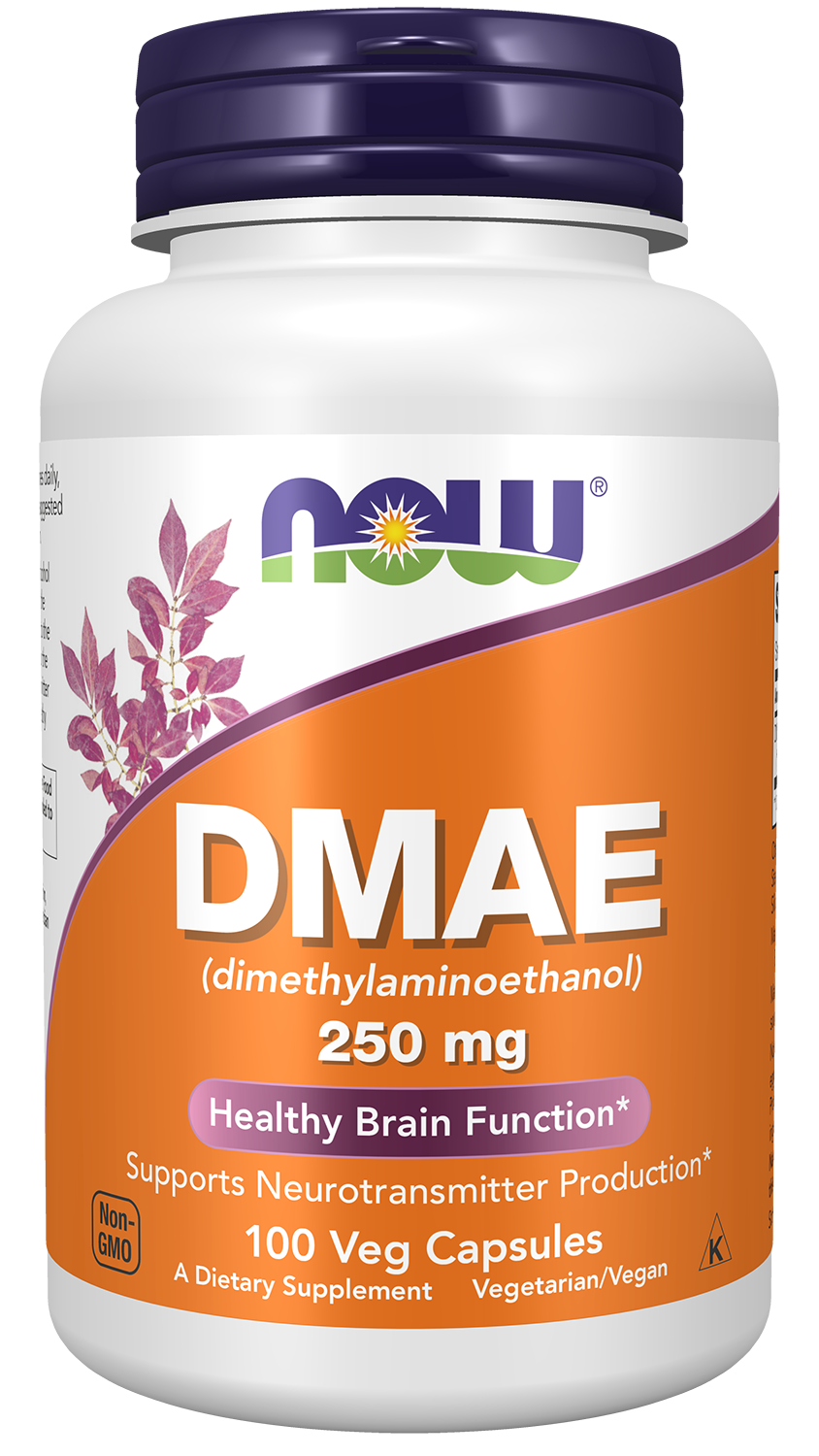NOW Supplements, DMAE 250 mg, Healthy Brain Function*, 100 Veg Caps — product image