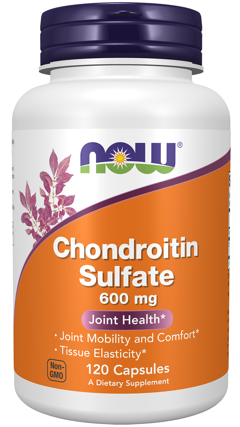 NOW Supplements, Chondroitin Sulfate 600 mg, Joint Support*, 120 Caps — product image