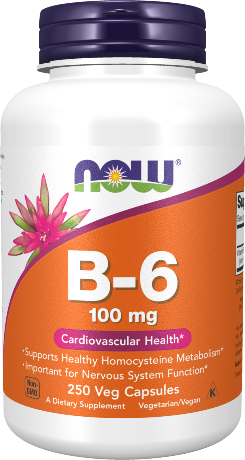 NOW Supplements, Vitamin B-6 (Pyridoxine HCl) 100 mg, 250 Veg Caps — product image