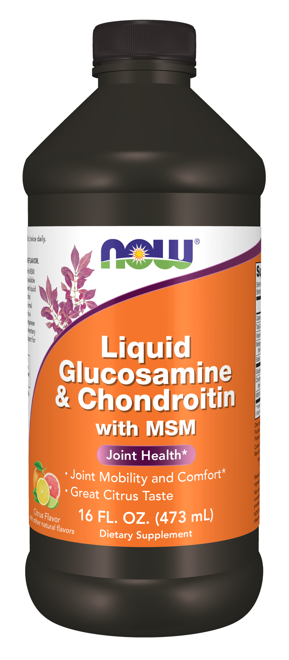NOW Supplements, Glucosamine & Chondroitin with MSM, Liquid, 16 fl. oz — product image