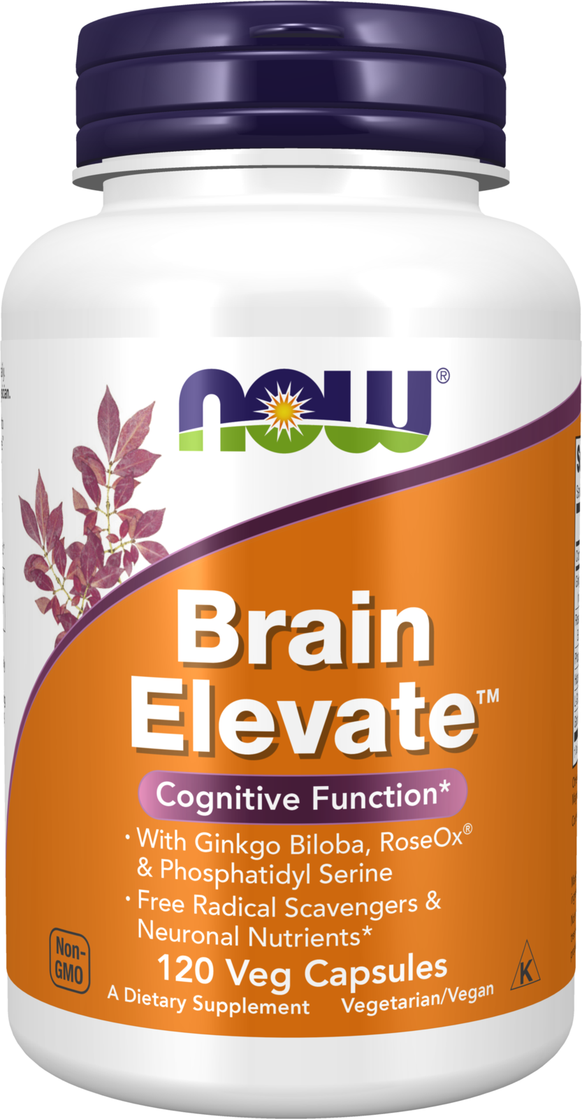 NOW Supplements, Brain Elevate™, Ginkgo Biloba & RoseOx®, 120 Veg Caps — product image