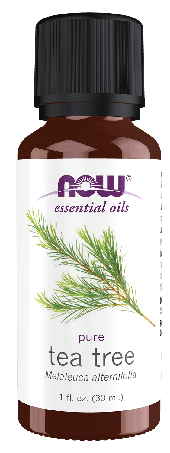 NOW Essential Oils, Tea Tree Oil, Undiluted, Steam Distilled, 1 fl. oz — product image